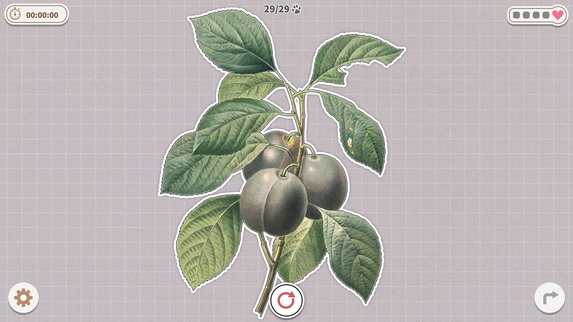 挤在一起的植物/Plants Huddled Together-麦子社区