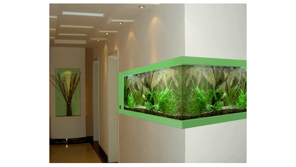 客厅放置龙鱼缸对风水好吗？