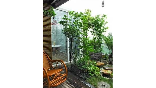 院子里种植梅树的风水好处