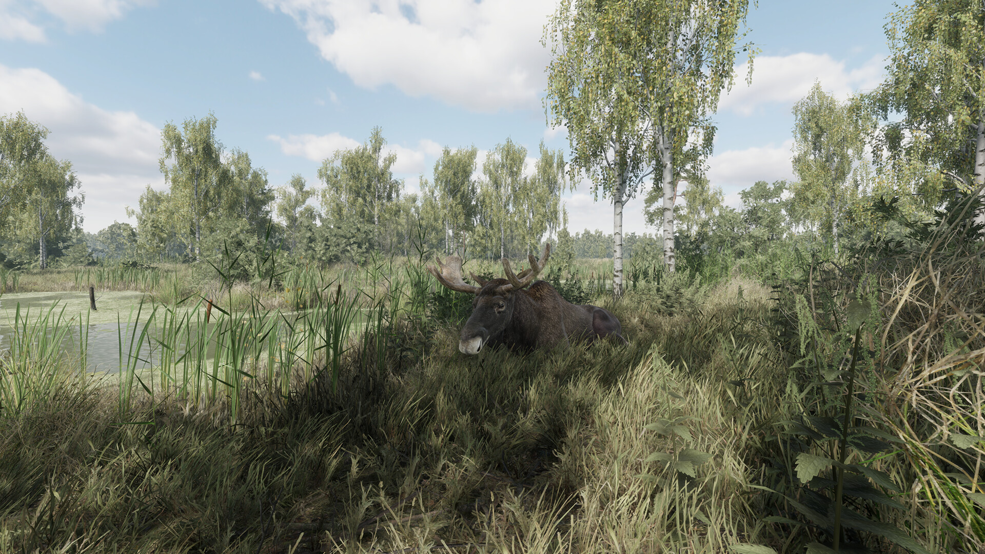 猎捕行动/On the Hunt