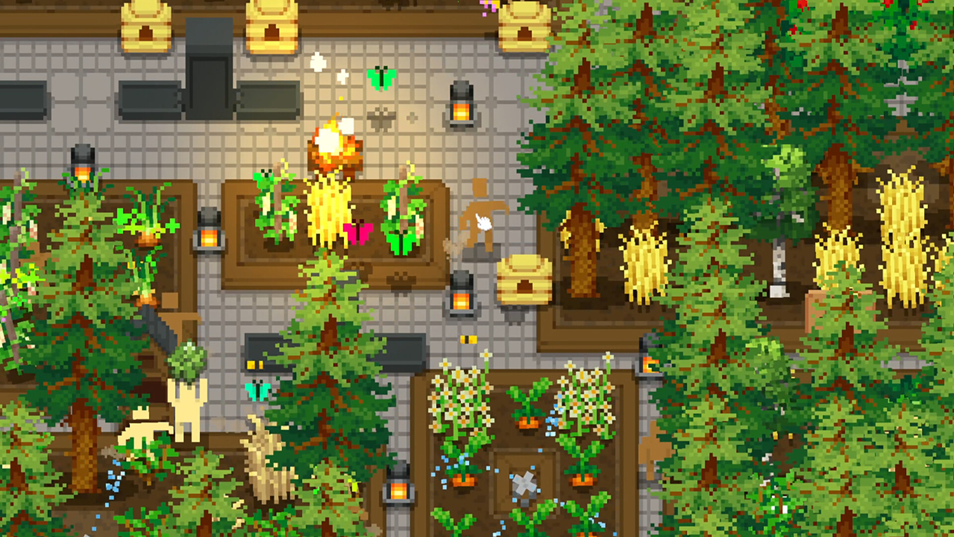 小梯田/Tiny Terraces-麦子社区