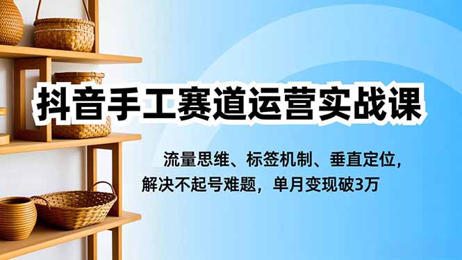 抖音手工赛道运营实战课，流量思维、标签机制、垂直定位，解决不起号难题，单月变现破3万-麦子社区