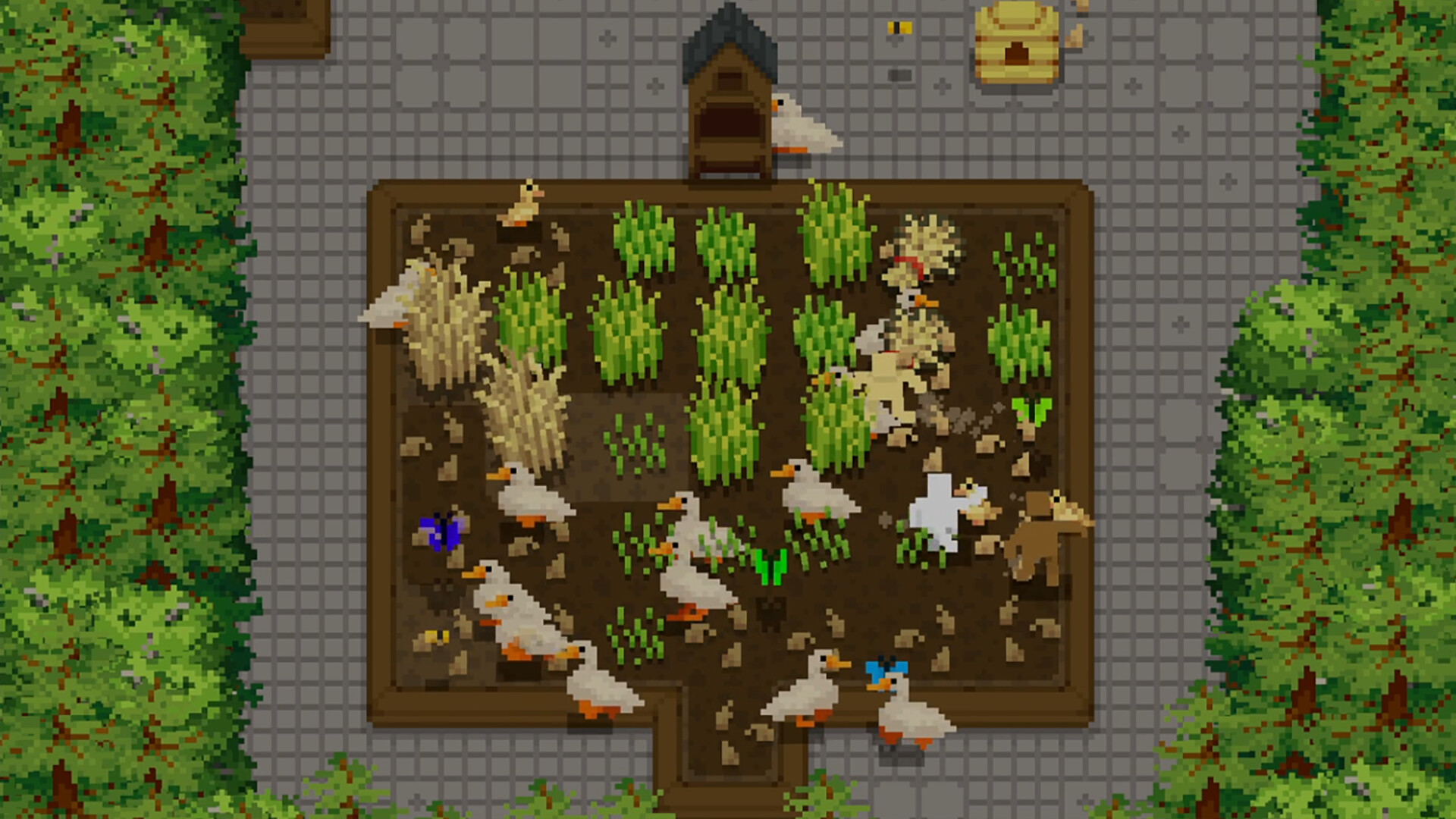 小梯田/Tiny Terraces-麦子社区