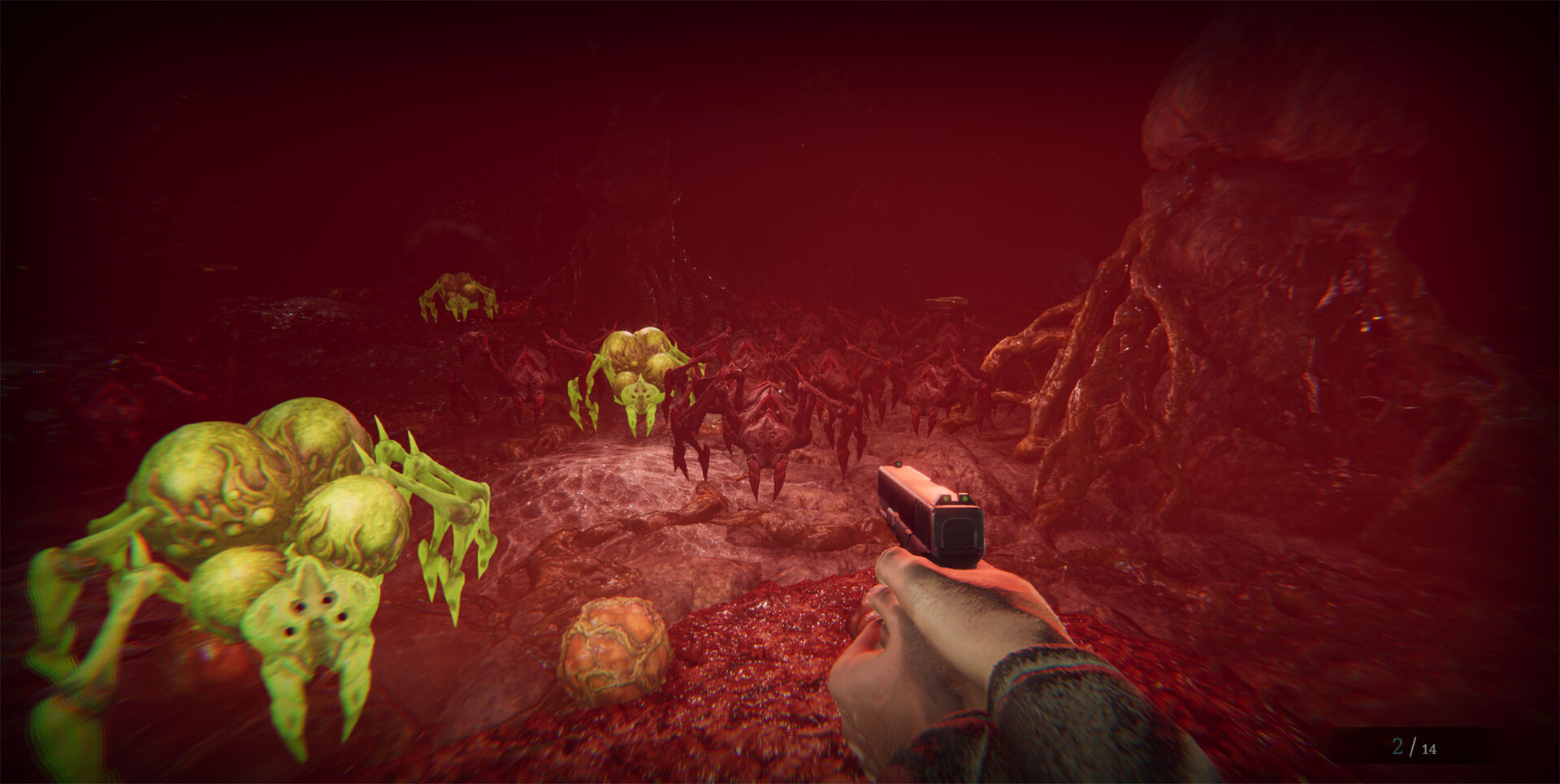 Morphos-麦子社区