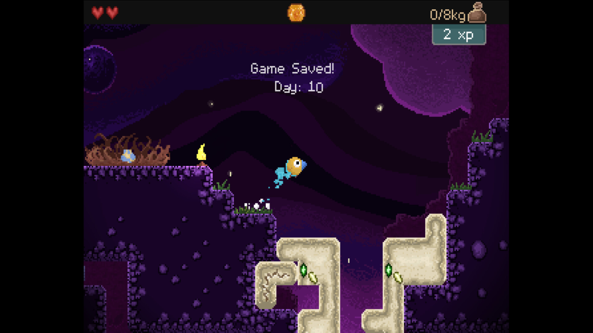 钻头鸟/Drill Bird-麦子社区