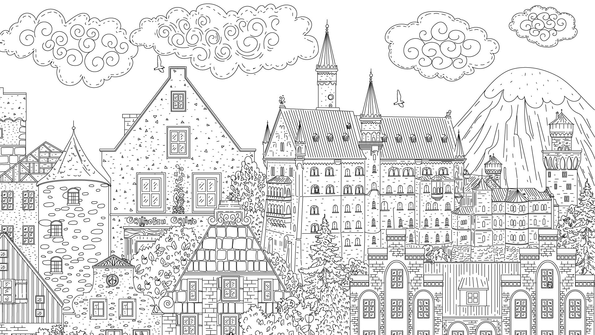 隐藏在德国的猫/Cats Hidden in Germany-麦子社区