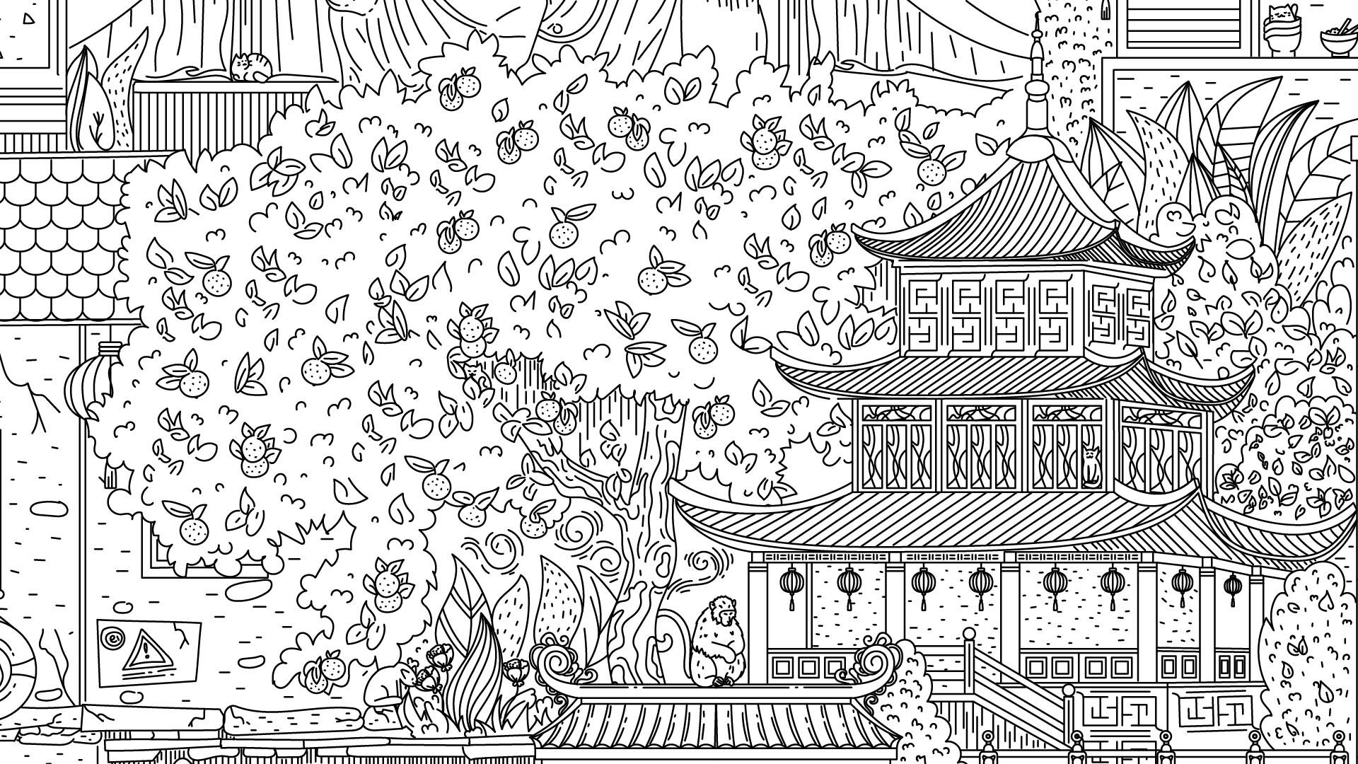 隐藏在中国的猫/Cats Hidden in China