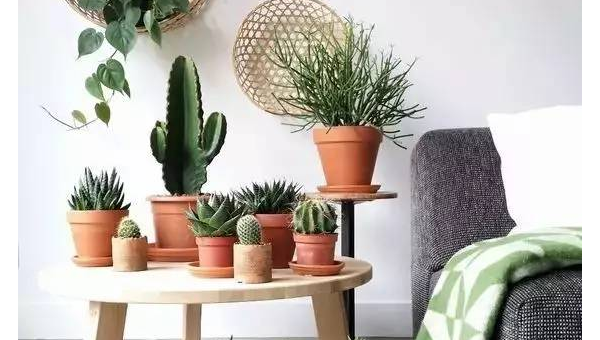 家中摆放木器的风水作用