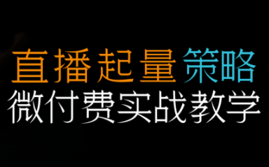 半野老师·直播带货起量与微付费必学课视频号-麦子社区