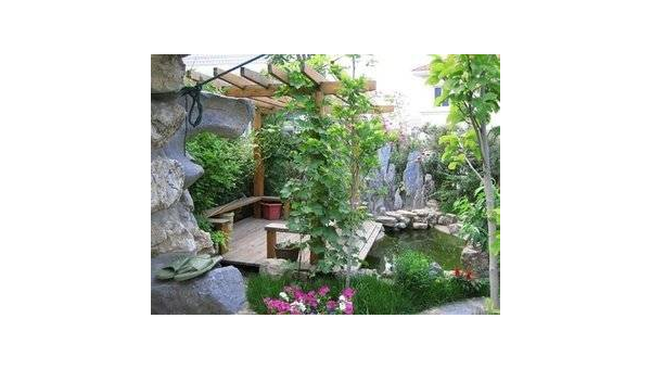 庭院里种石榴树风水好吗