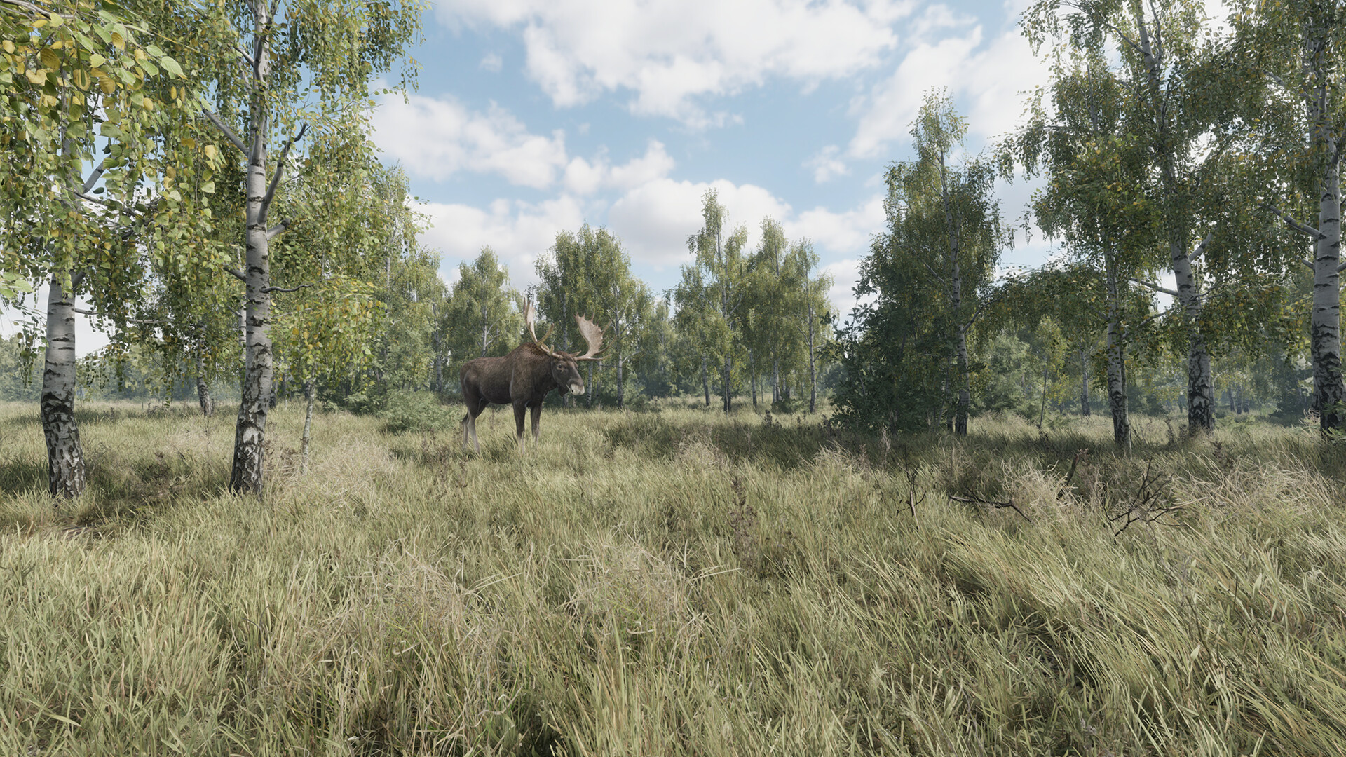 猎捕行动/On the Hunt-麦子社区