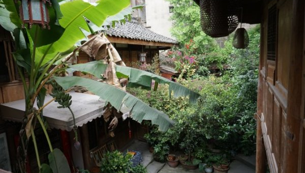 院子里种植李树的风水好处