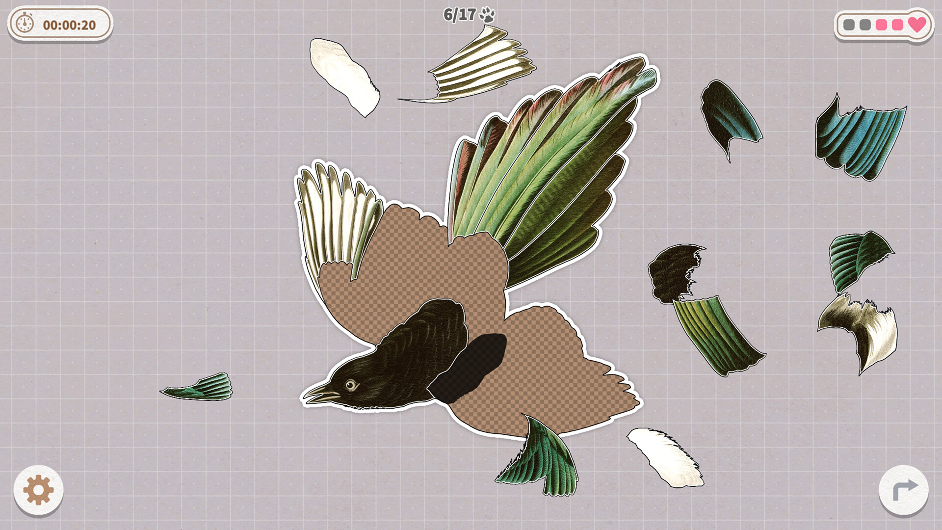 挤在一起的鸟鸟/Birds Huddled Together-麦子社区