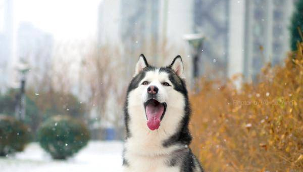 家里大门用铝合金材质风水如何