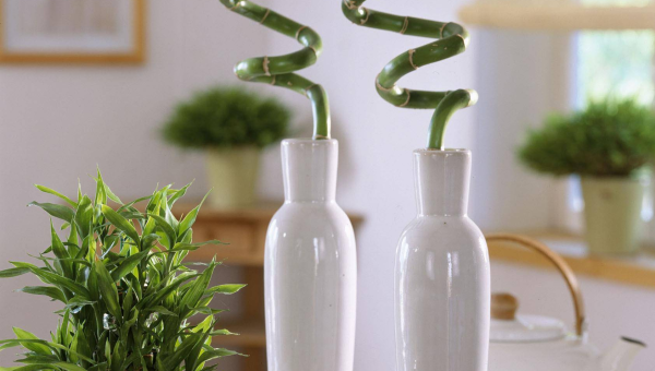 办公室放个空气净化器风水如何