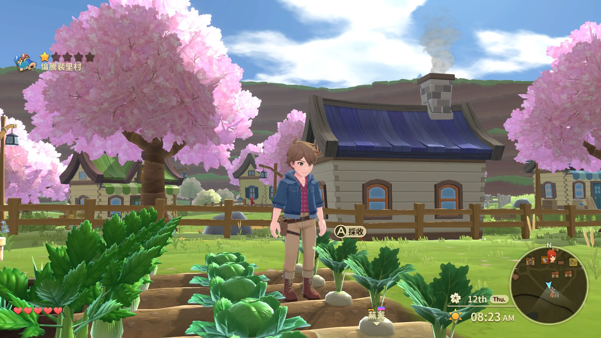 牧场物语:安托斯之风/Harvest Moon: The Winds of Anthos-麦子社区