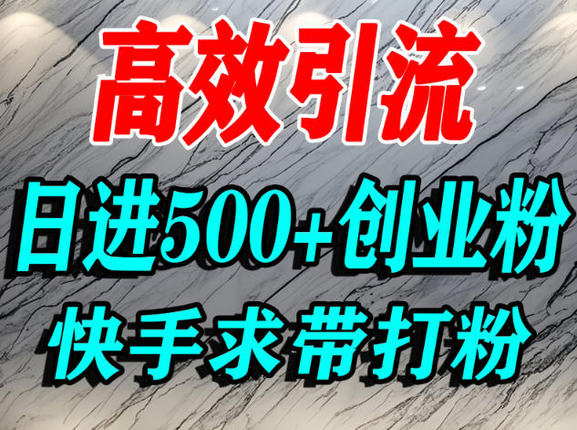 怎么打创业粉？快手求带视角精准引流创业粉，宝妈、学生群体日进500+精准流量-麦子社区