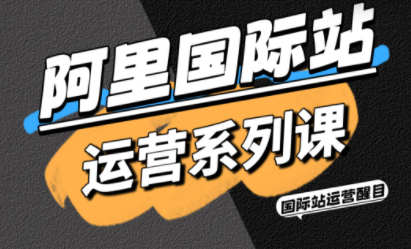醒目老师·阿里国际站运营系列课(更新11月)-麦子社区