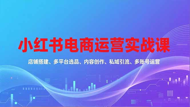 小红书电商运营实战课，店铺搭建、多平台选品、内容创作、私域引流、多账号运营等玩法-麦子社区