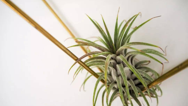 家里大门门槛高风水好吗