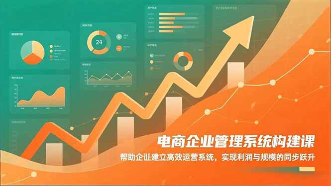 （16643期）电商企业管理系统构建课：帮助企业建立高效运营系统，实现利润与规模的同步跃升-麦子社区