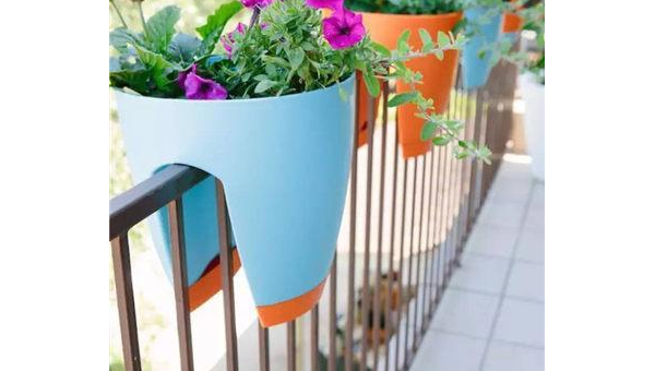 阳台栏杆上摆多肉植物风水好吗