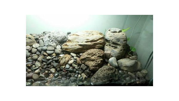 庭院铺鹅卵石路风水好吗