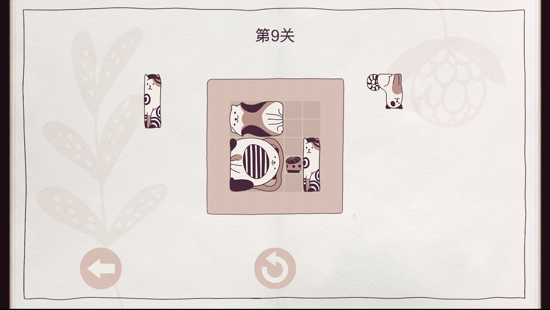 井然有猫/Cats Organized Neatly-麦子社区