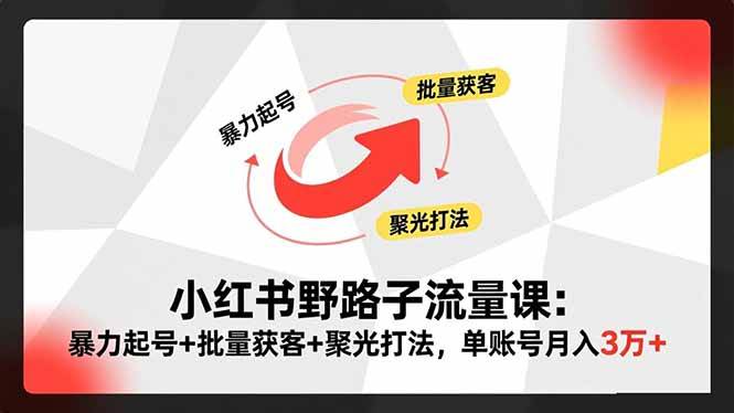 图片[1]-（16513期）小红书野路子流量课：暴力起号+批量获客+聚光打法，单账号月入3万+-麦子社区
