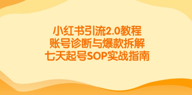 小红书引流2.0教程，账号诊断与爆款拆解，七天起号SOP实战指南-麦子论坛