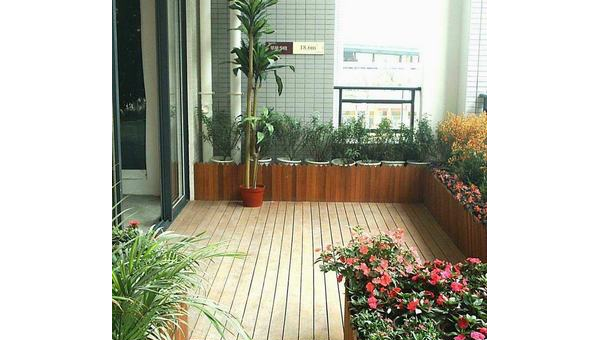 家里阳台种葡萄藤风水好吗