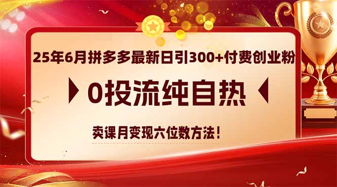 25年6月拼多多最新日引300+付费创业粉，0投流纯自热 卖课月变现六位数方法-麦子论坛